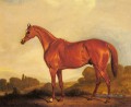 Un portrait du cheval de course Harkaway Cheval John Ferneley Snr